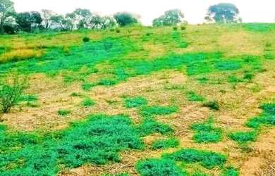 Imagem 13: 03a-1C5RI20. 500m² de Área