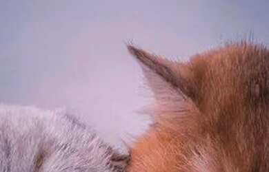 Imagem: A casa possui 2 Dormitórios e está localizado em Feitosa