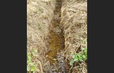 Imagem: A chácara possui 1.700m² de Área e está localizado em St