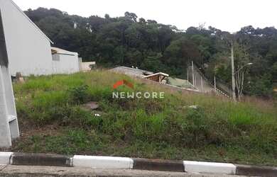 Imagem 7: Lote em Alameda Serra da Cantareira - Canjica (Terra Preta) - Mairiporã/SP