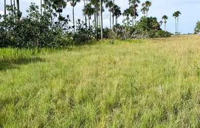 Imagem 6: Terreno para chácara. 58.888m² de Área