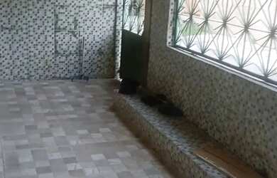 Imagem: A casa em condomínio possui 2 Dormitórios, 1 Banheiro, 1 Vaga