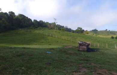 Imagem 4: Fazenda. 124m² de Área Privada