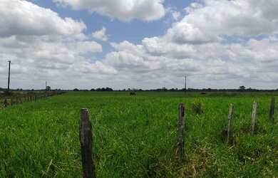 Imagem 14: R$ 20 milhões 1107 hectares pronta e 100 documentada aceita 50 de entrada