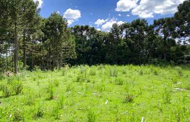 Imagem 2: Terreno de 2 hectare em Urubici