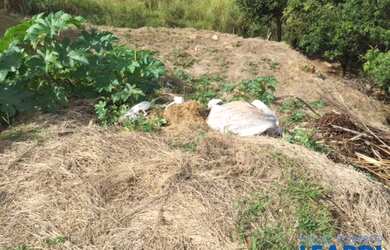 Imagem 4: TERRENO EM CONDOMÍNIO - CONDOMÍNIO PORTO SEGURO VILLAGE - SP