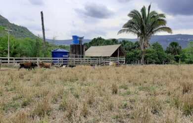 Imagem 8: Chácara em Lajeado-TO. Piscinae20.000m² de Área