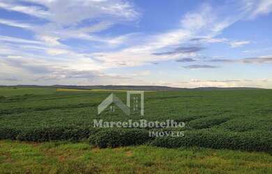 Imagem 3: Fazenda plantando região de Primavera do Leste MT