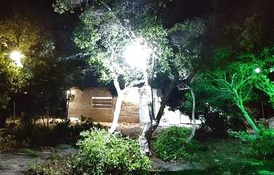 Imagem 6: Estou vendendo um terreno de 1.000 m² a mil metros da praia