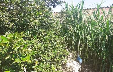 Imagem 7: Venda terreno itaipuaçu no Recanto 2 , 2 quadras da praia
