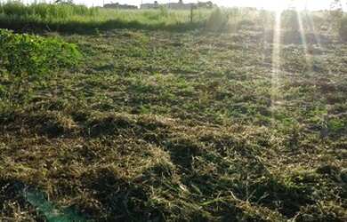 Imagem 2: Terreno morro alto Quissamã