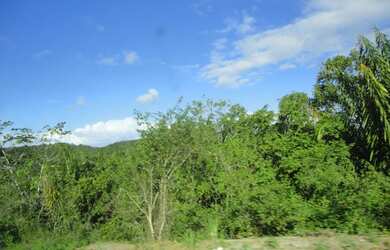 Imagem 7: J Imoveis vende fazenda em Jaguaripe- Bahia 800 Hectares $3.500.000,00