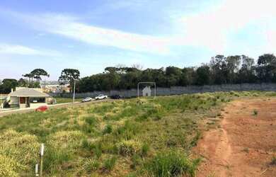 Imagem 2: Terreno à venda, 1000 m² por R$ 520.000,00 - Jardim Amélia - Pinhais/PR