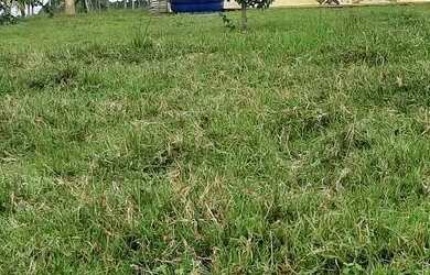 Imagem: A fazenda possui 190.000m² de Área e está localizado em