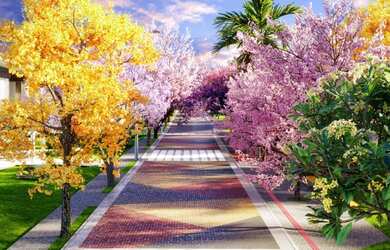 Imagem 5: Lote Vinhas Flamboyant. 260m² de Área