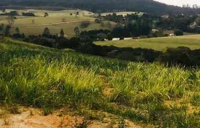 Imagem 7: Lote/Terreno para venda possui 500 metros quadrados em Jardim Brasil -...