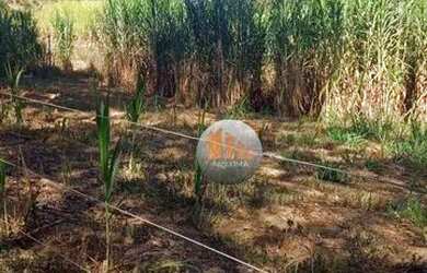 Imagem 12: Fazenda à venda, 62.92 hectares por R$ 2.400.000 - Zona Rural - Luziânia/GO