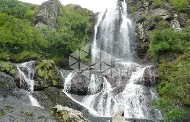 Imagem 11: FAZENDA COM 985 HA EM SÃO JOSÉ DOS AUSENTES- RS