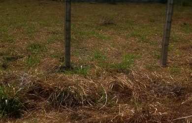 Imagem: O terreno possui 250m² de Área e está localizado em Itaporanga