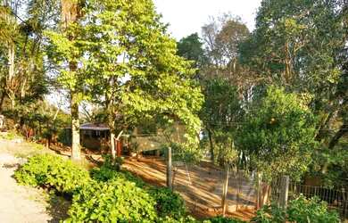 Imagem 6: Sitio - Bairro Santa Terezinha