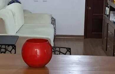 Imagem 7: APARTAMENTO BAIRRO CASTELO