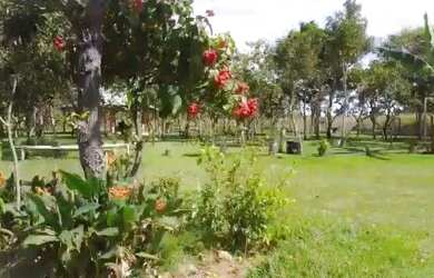 Imagem: A fazenda e possui Dormitórios, Suítes, Banheiros, 95-0m²