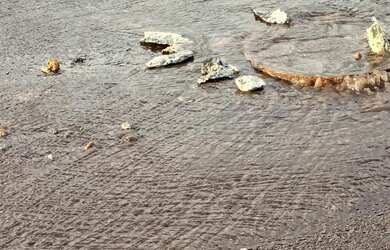 Imagem: O terreno possui 200m² de Área e está localizado em Serrana