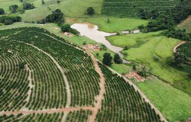 Imagem: A fazenda à venda possui e está localizado em Área Rural
