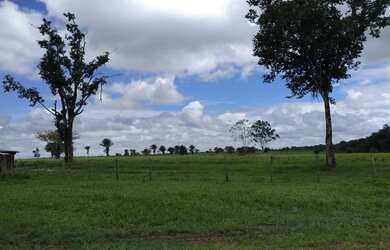 Imagem 16: R$ 20 milhões 1107 hectares pronta e 100 documentada aceita 50 de entrada