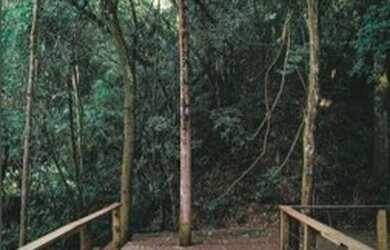 Imagem 7: Agende sua visita e conheça este lindo terreno que pode ser seu