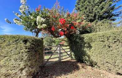 Imagem: O terreno possui 5.400m² de Área e está localizado em Colônia