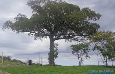 Imagem 16: TERRENO EM CONDOMÍNIO - CONDOMÍNIO PORTAL DO JEQUITIBA - SP