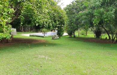 Imagem 10: Chácara em Lajeado-TO. Piscinae20.000m² de Área