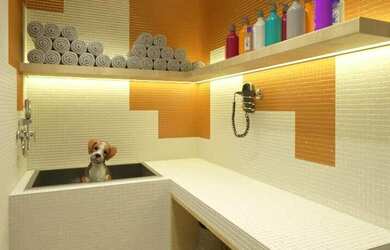 Imagem 14: Apartamento Padrão. Piscina, Churrasqueira, 64m² de Áreae1 Vaga na...