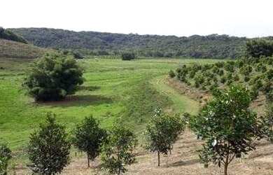 Imagem 1: Fazenda em Jacupiranga. Imóvel novoe2.750.000m² de Área