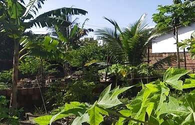 Imagem: O terreno possui 200m² de Área e está localizado em Gramame