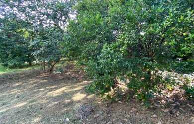 Imagem 5: TERRAS DE ITAICI- INDAIATUBA