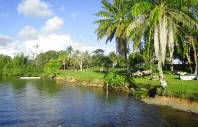 Imagem 10: J Imoveis vende fazenda em Jaguaripe- Bahia 800 Hectares $3.500.000,00