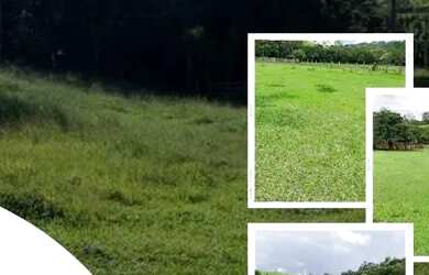 Imagem: LL-Vende-se terreno, aceito proposta