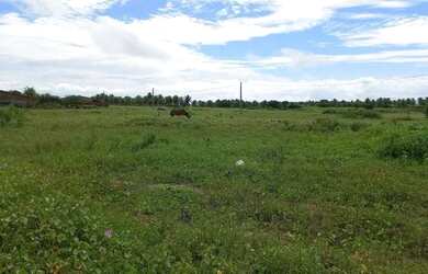 Imagem: O terreno possui 250m² de Área e está localizado em Tibau