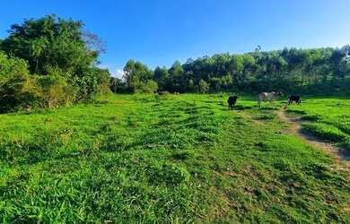 Imagem: A fazenda possui 20.000m² de Área e está localizado em Guararema