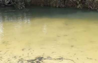 Imagem 5: Água Boa. 2.600.000m² de Área