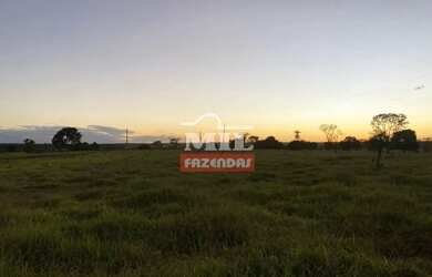 Imagem 14: Fazenda 68 alqueires 329 hectares Campos Verdes-GO
