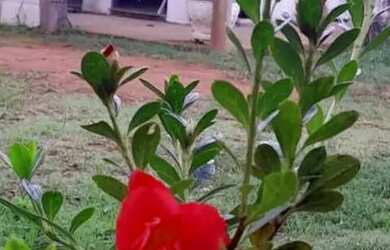 Imagem 16: Linda chácara para venda próximo a São Lourenço - MG