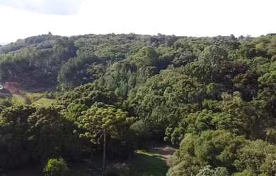 Imagem: O terreno possui 45.000m² de Área e está localizado em Gramado