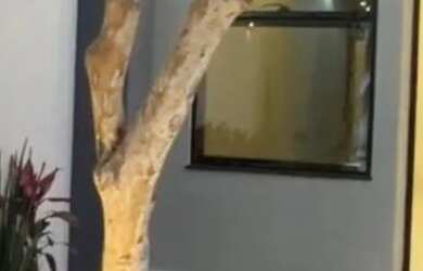 Imagem 8: Alto Padrão Jardim Palmeiras/Financia