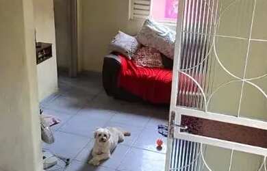 Imagem 8: VENDO CASA 120 m2 em Minas Gerais