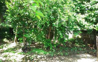 Imagem 11: CASA À VENDA NO BARRO VERMELHO - SÃO GONÇALO - COM QUINTAL GIGANTE