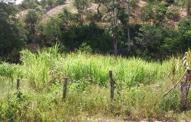 Imagem: A fazenda possui 9m² de Área Privada e está localizado em