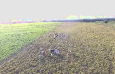 Imagem: A fazenda possui 100.000m² de Área e está localizado em